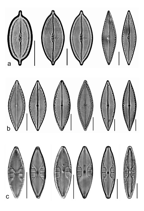 Plate 23