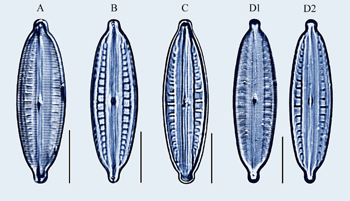 Figure 23